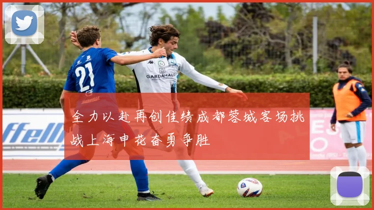 全力以赴再创佳绩成都蓉城客场挑战上海申花奋勇争胜