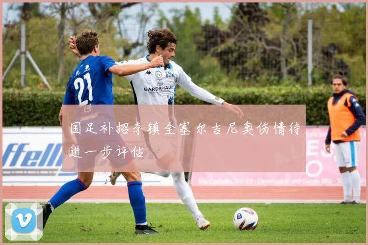 国足补招李镇全塞尔吉尼奥伤情待进一步评估