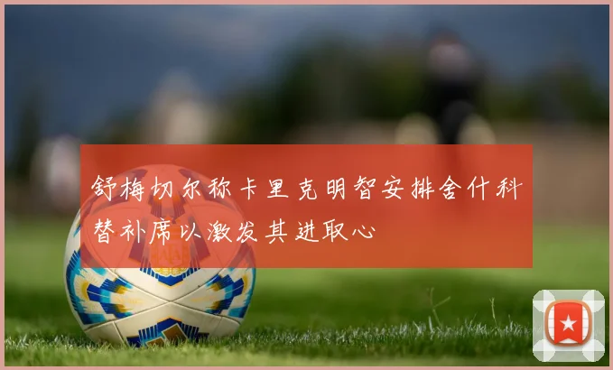 舒梅切尔称卡里克明智安排舍什科替补席以激发其进取心