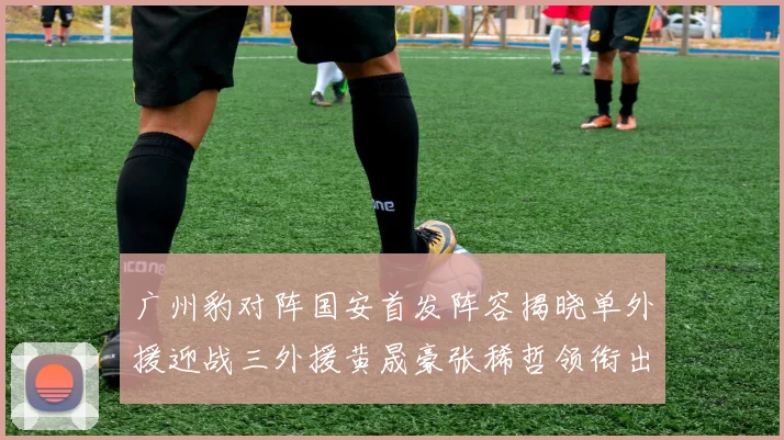 广州豹对阵国安首发阵容揭晓单外援迎战三外援黄晟豪张稀哲领衔出战